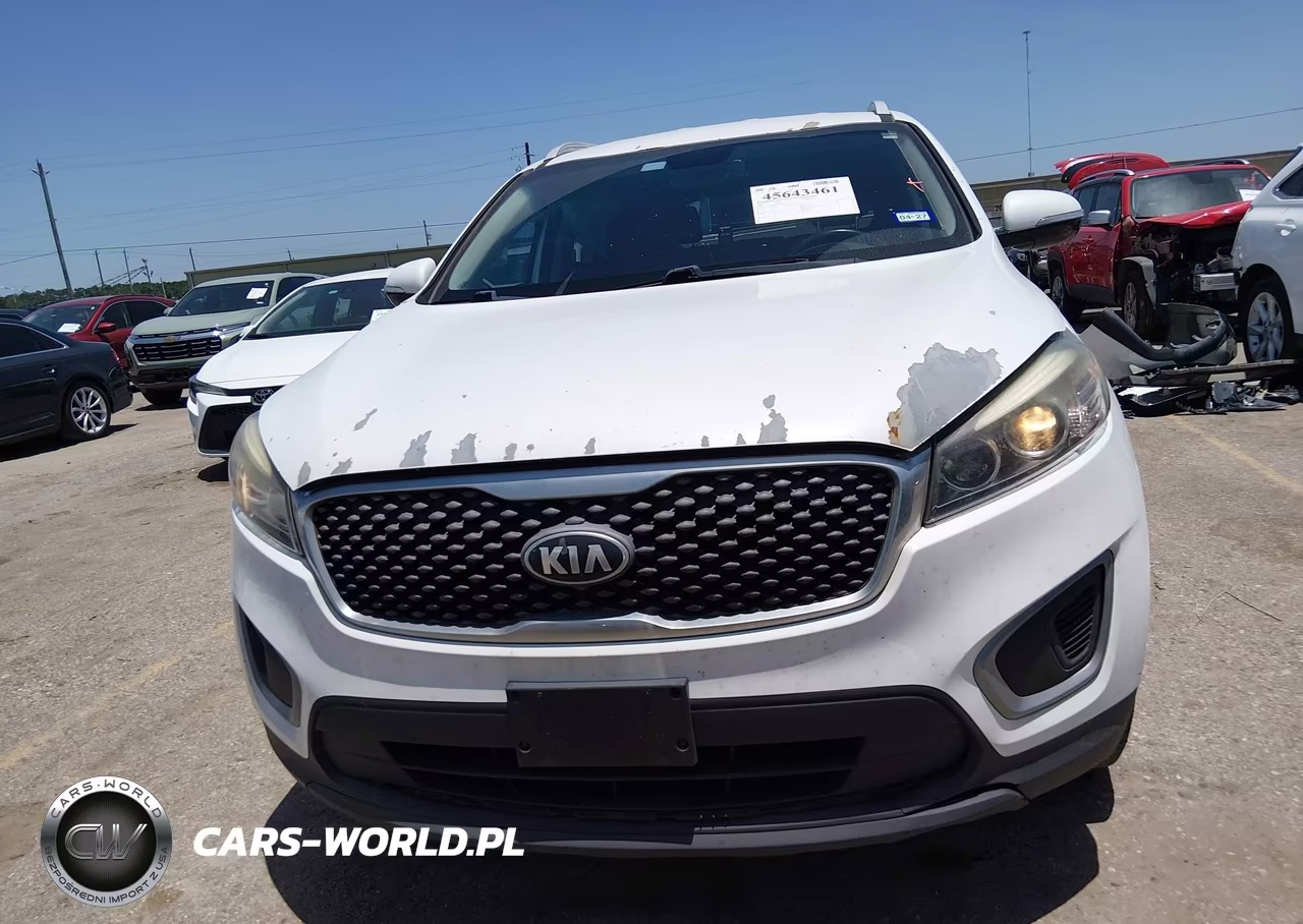 2018 Kia Sorento 2.4L Lx VIN:5XYPG4A38JG388116 - 13