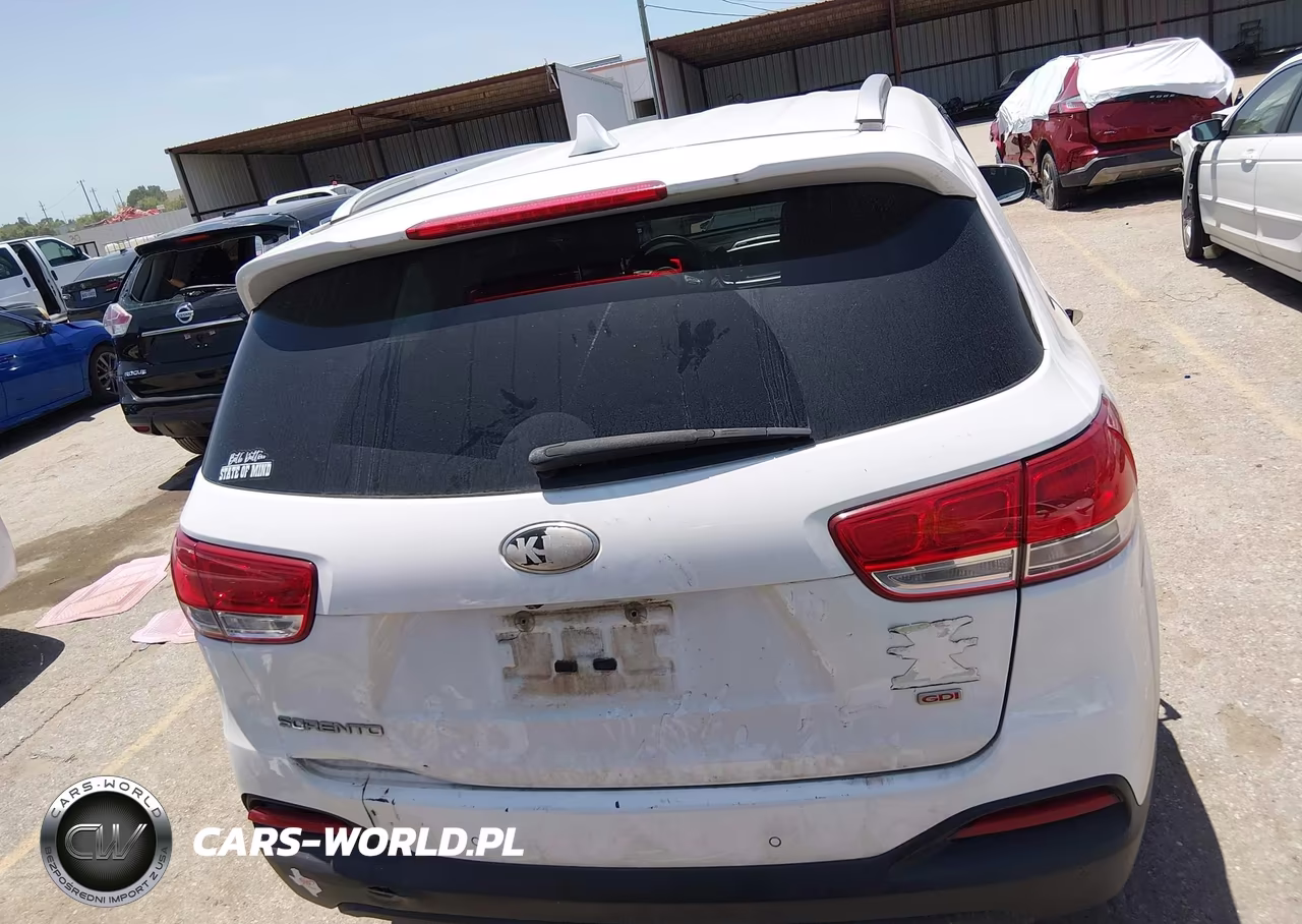 2018 Kia Sorento 2.4L Lx VIN:5XYPG4A38JG388116 - 17