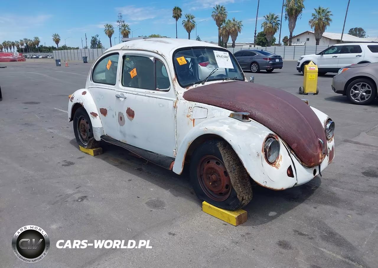 1974 Volkswagen Bug