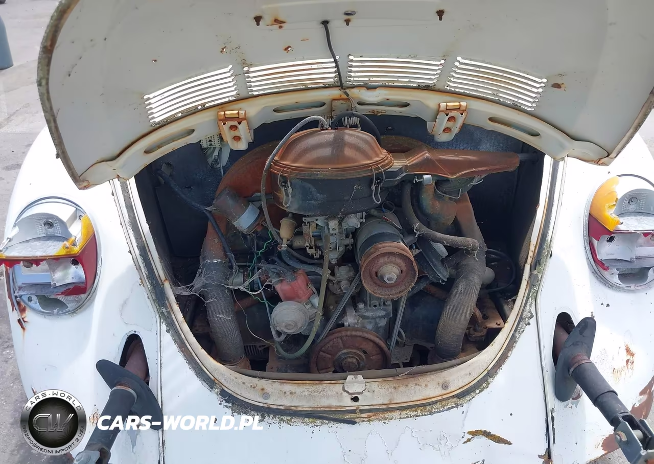 1974 Volkswagen Bug VIN:1142435182 - 10