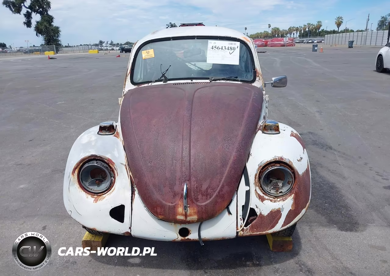 1974 Volkswagen Bug VIN:1142435182 - 11