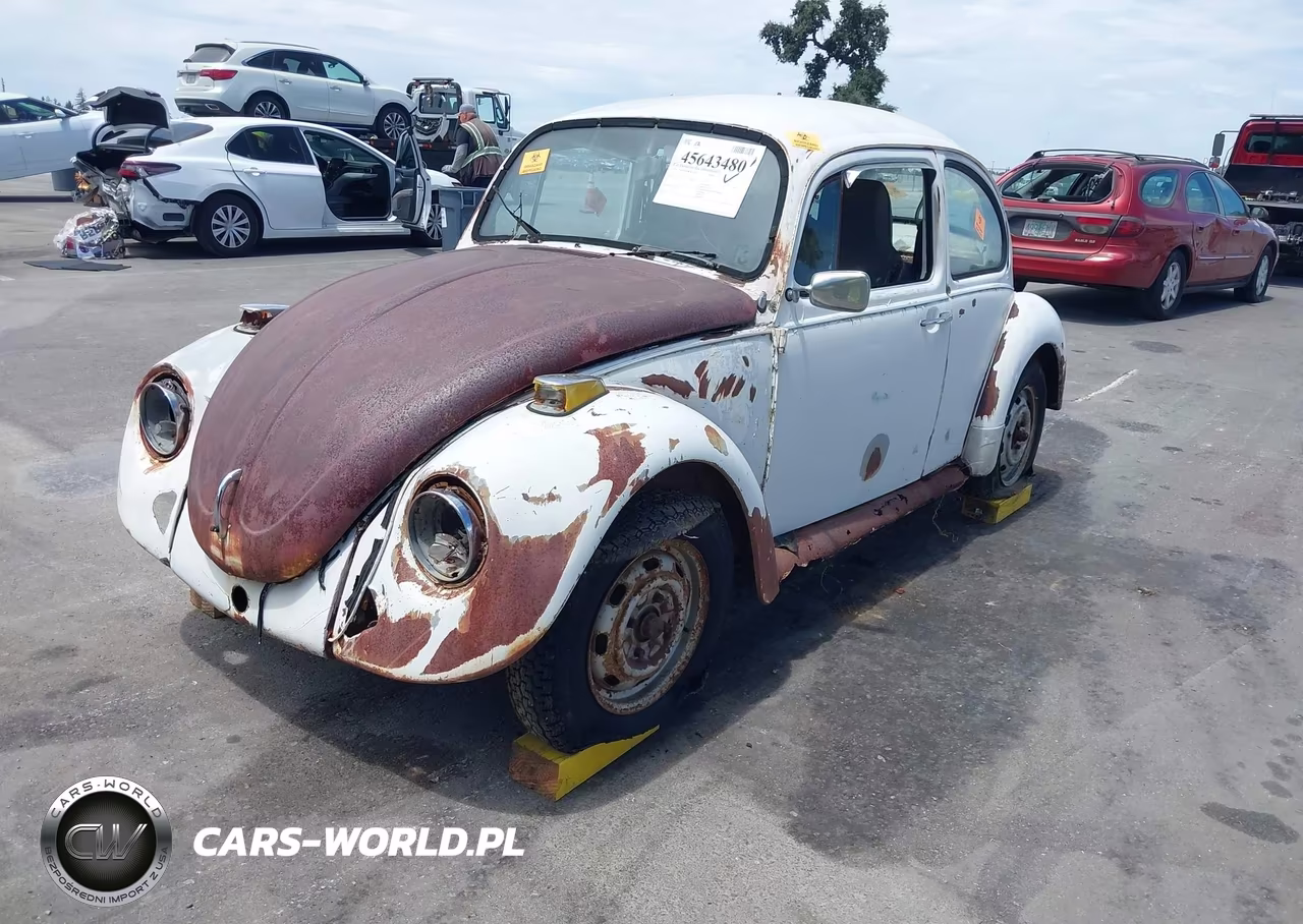 1974 Volkswagen Bug VIN:1142435182 - 2