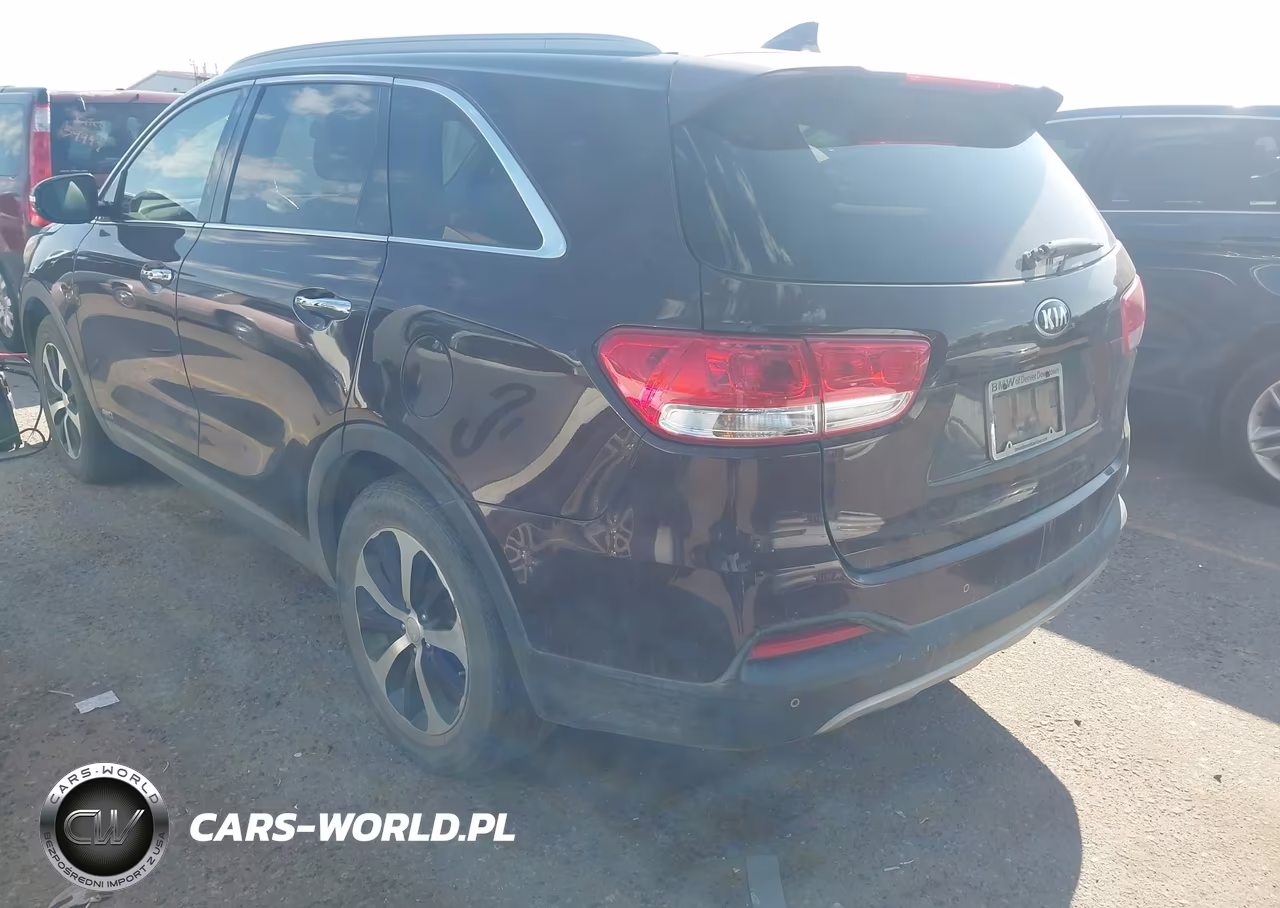2016 Kia Sorento 2.0T Ex VIN:5XYPHDA11GG032823 - 14
