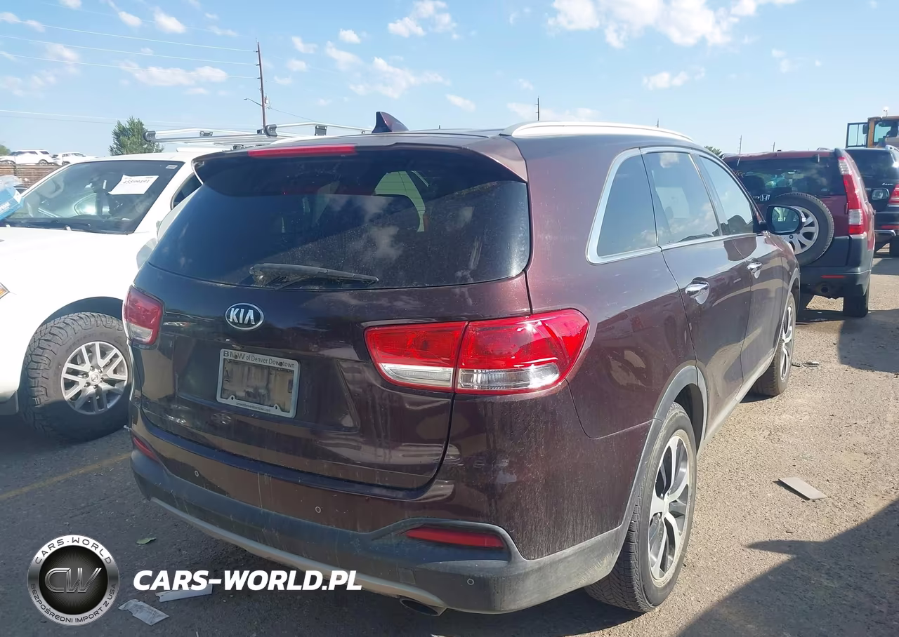 2016 Kia Sorento 2.0T Ex VIN:5XYPHDA11GG032823 - 4