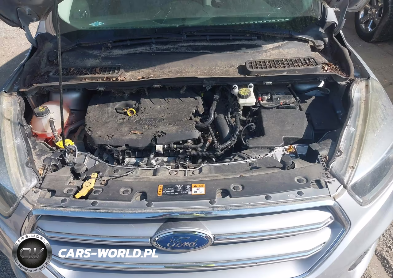 2017 Ford Escape Se VIN:1FMCU0GD9HUB00401 - 10