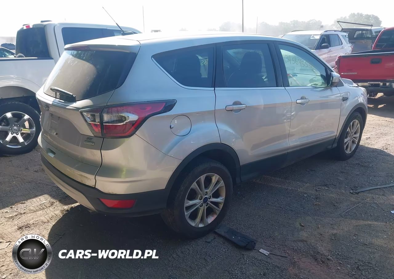 2017 Ford Escape Se VIN:1FMCU0GD9HUB00401 - 4