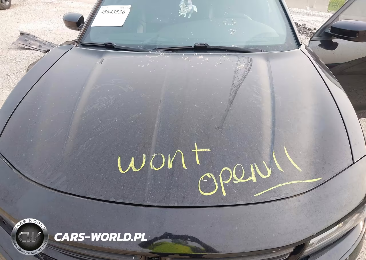 2019 Dodge Charger Sxt Rwd VIN:2C3CDXBG4KH743574 - 10