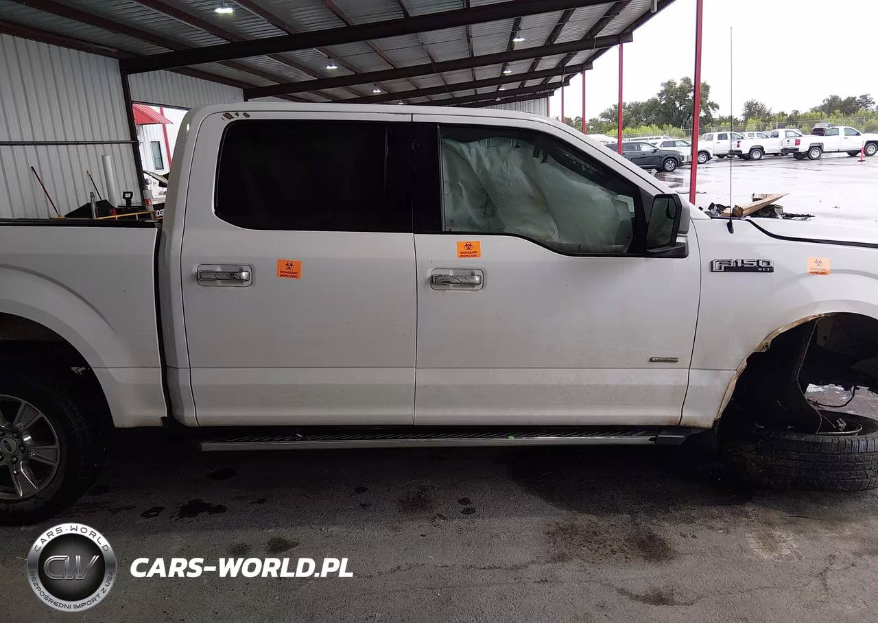 2015 Ford F-150 Xlt VIN:1FTEW1CP8FKF02707 - 13