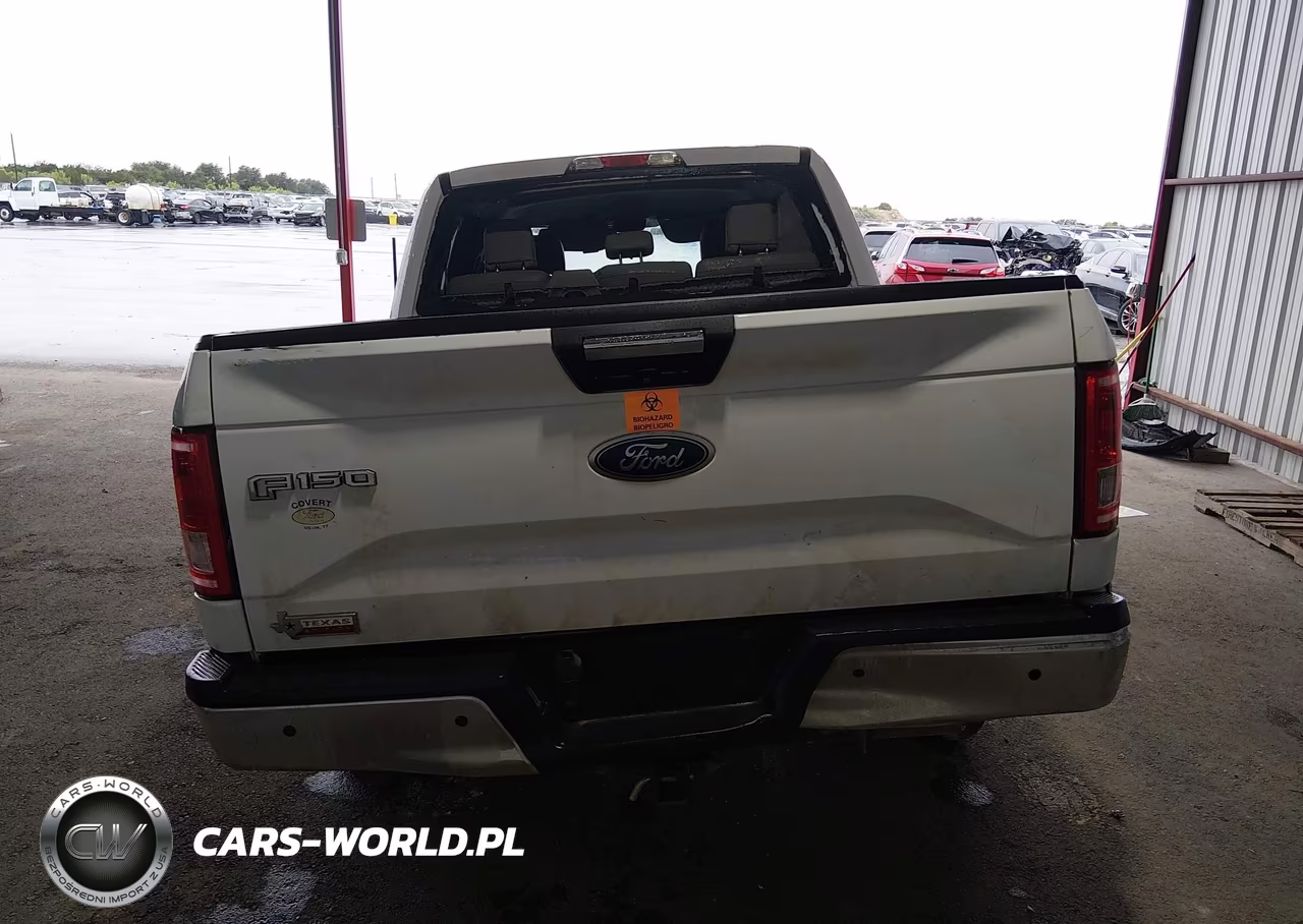 2015 Ford F-150 Xlt VIN:1FTEW1CP8FKF02707 - 16