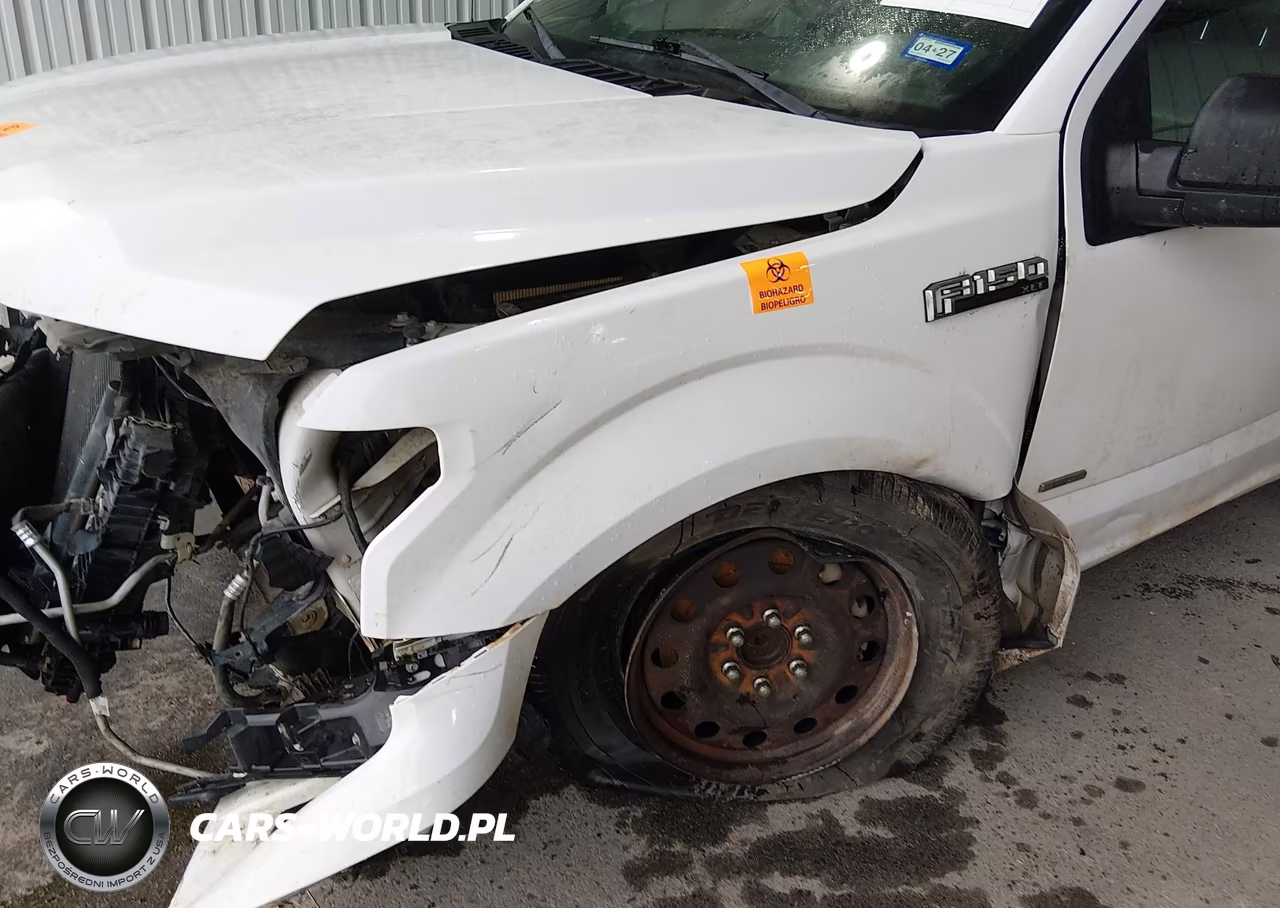 2015 Ford F-150 Xlt VIN:1FTEW1CP8FKF02707 - 17