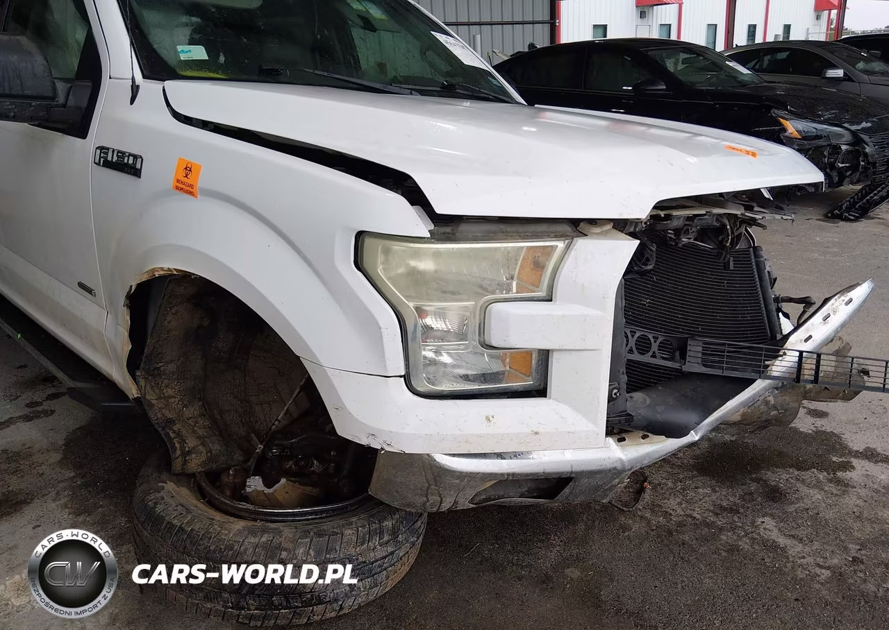 2015 Ford F-150 Xlt VIN:1FTEW1CP8FKF02707 - 19