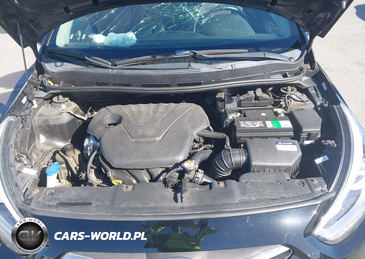 2017 Hyundai Accent Sport VIN:KMHCU5AEXHU355380 - 10