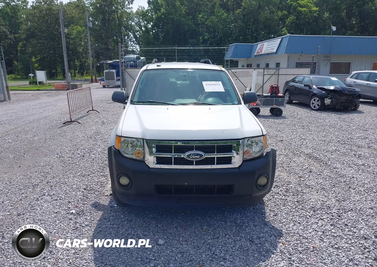 2012 Ford Escape Xlt VIN:1FMCU0DG0CKA77786 - 12