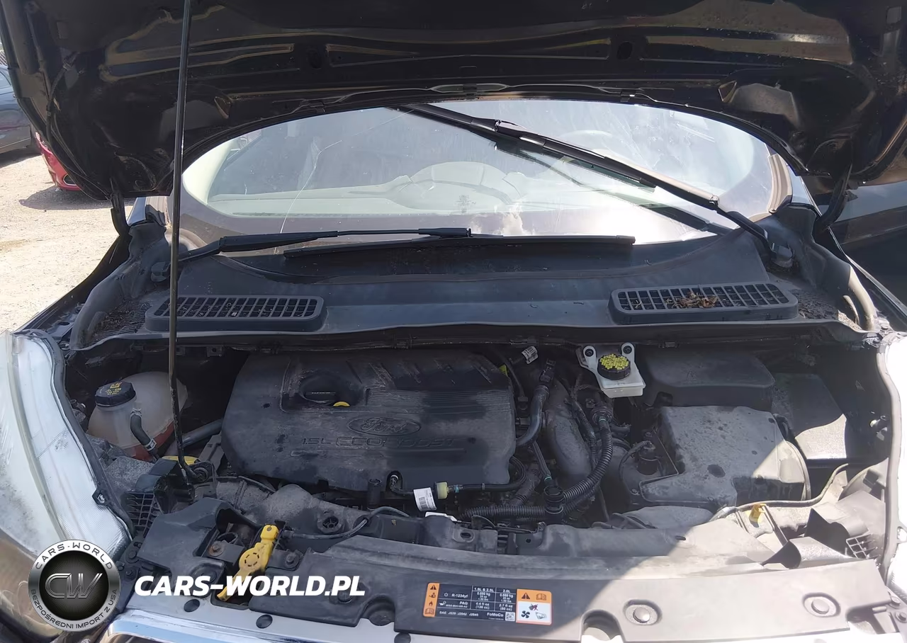 2017 Ford Escape Se VIN:1FMCU0GD5HUB14523 - 10
