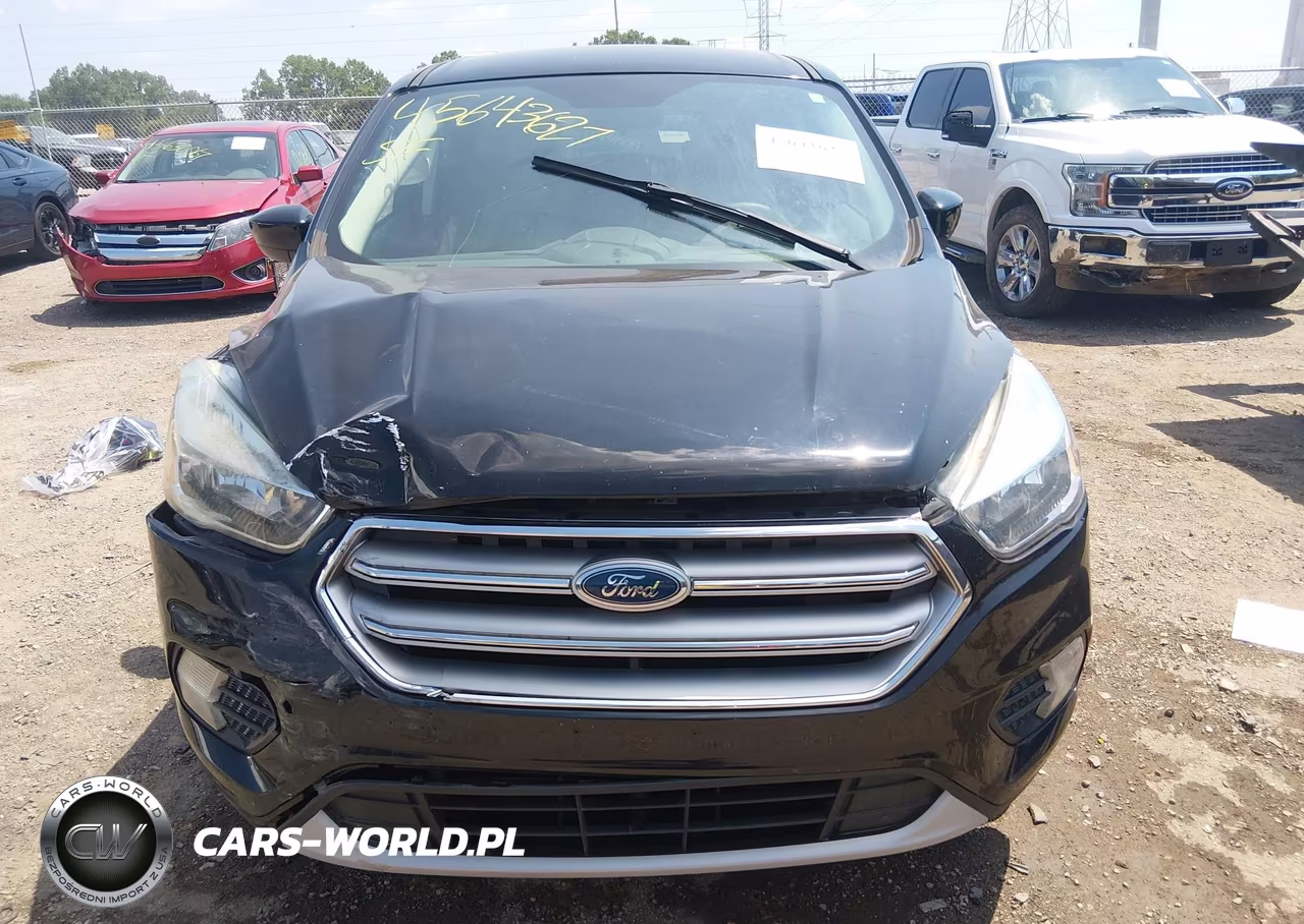 2017 Ford Escape Se VIN:1FMCU0GD5HUB14523 - 12
