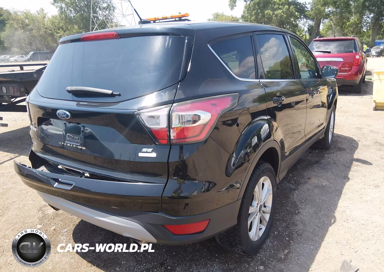 2017 Ford Escape Se VIN:1FMCU0GD5HUB14523 - 4