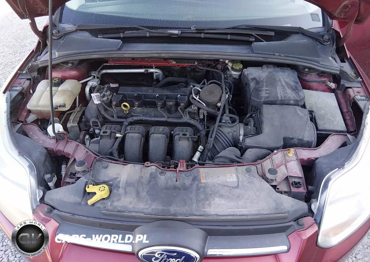 2014 Ford Focus Se VIN:1FADP3F28EL438641 - 10