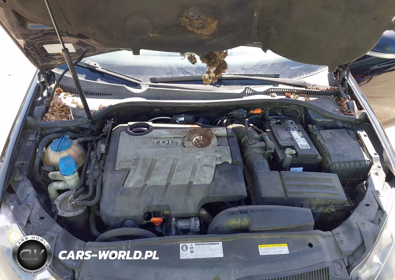 2013 Volkswagen Jetta Sportwagen 2.0L Tdi VIN:3VWPL7AJ2DM671773 - 10