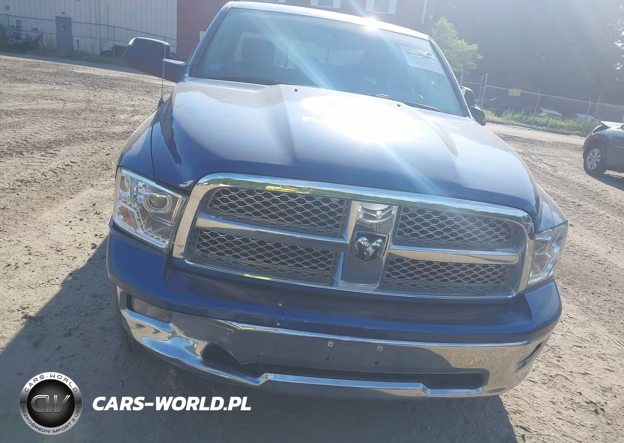 2010 Dodge Ram 1500 Slt-Sport-Trx VIN:1D7RV1CT7AS202172 - 10