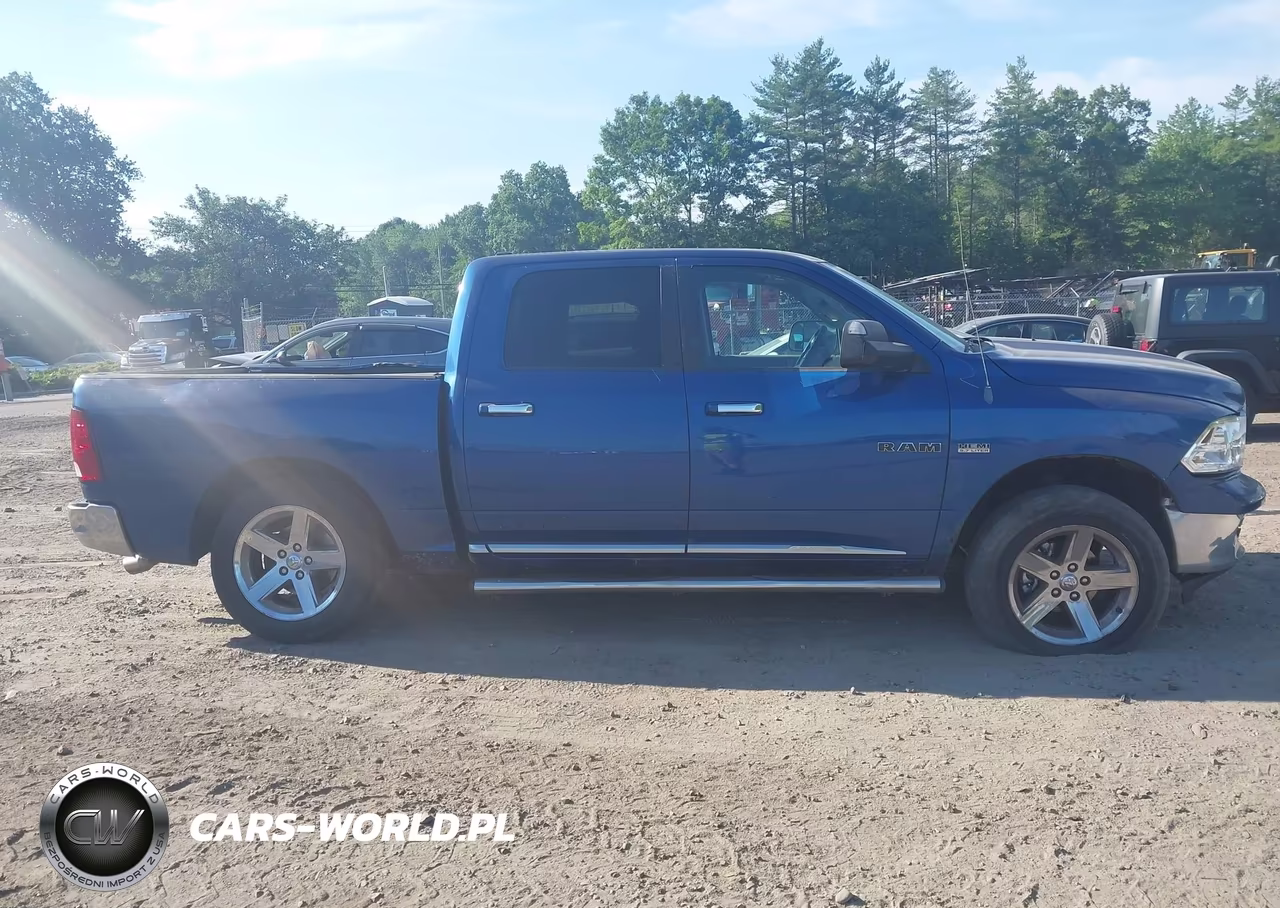 2010 Dodge Ram 1500 Slt-Sport-Trx VIN:1D7RV1CT7AS202172 - 11