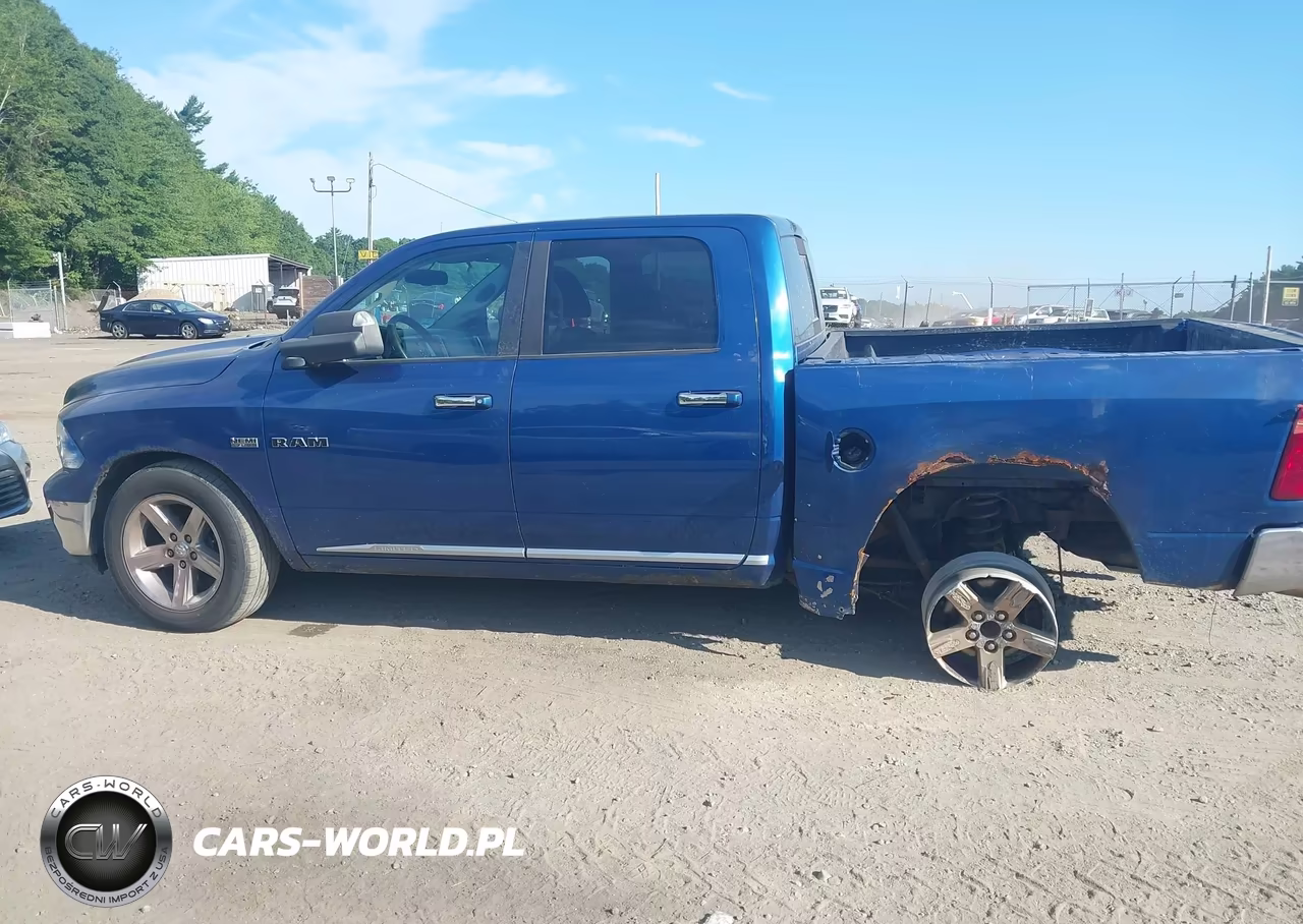 2010 Dodge Ram 1500 Slt-Sport-Trx VIN:1D7RV1CT7AS202172 - 12