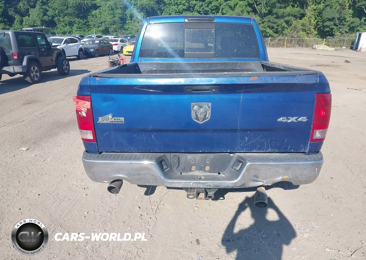 2010 Dodge Ram 1500 Slt-Sport-Trx VIN:1D7RV1CT7AS202172 - 14