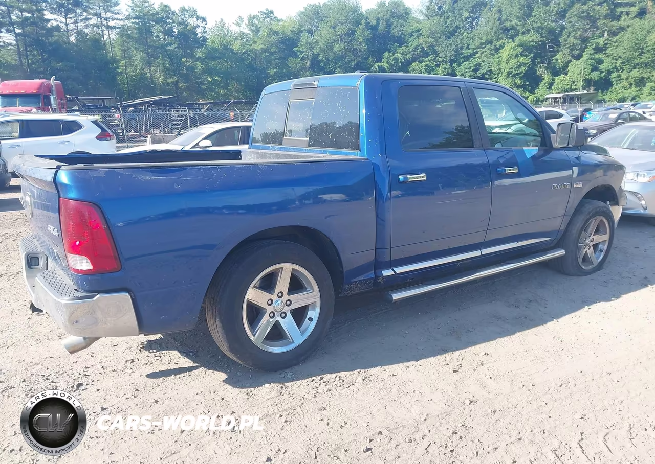 2010 Dodge Ram 1500 Slt-Sport-Trx VIN:1D7RV1CT7AS202172 - 2