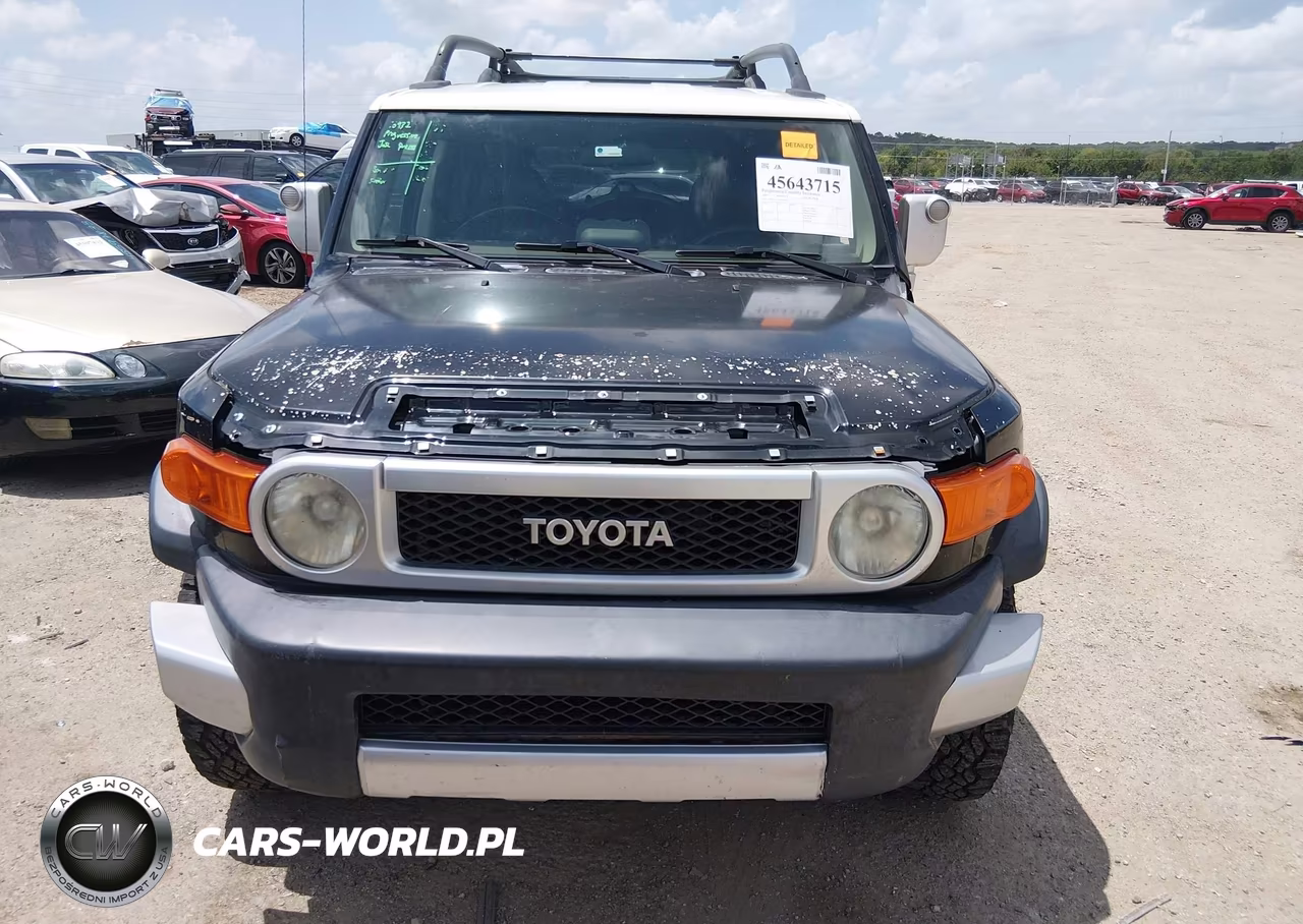 2007 Toyota Fj Cruiser VIN:JTEBU11F870073113 - 12