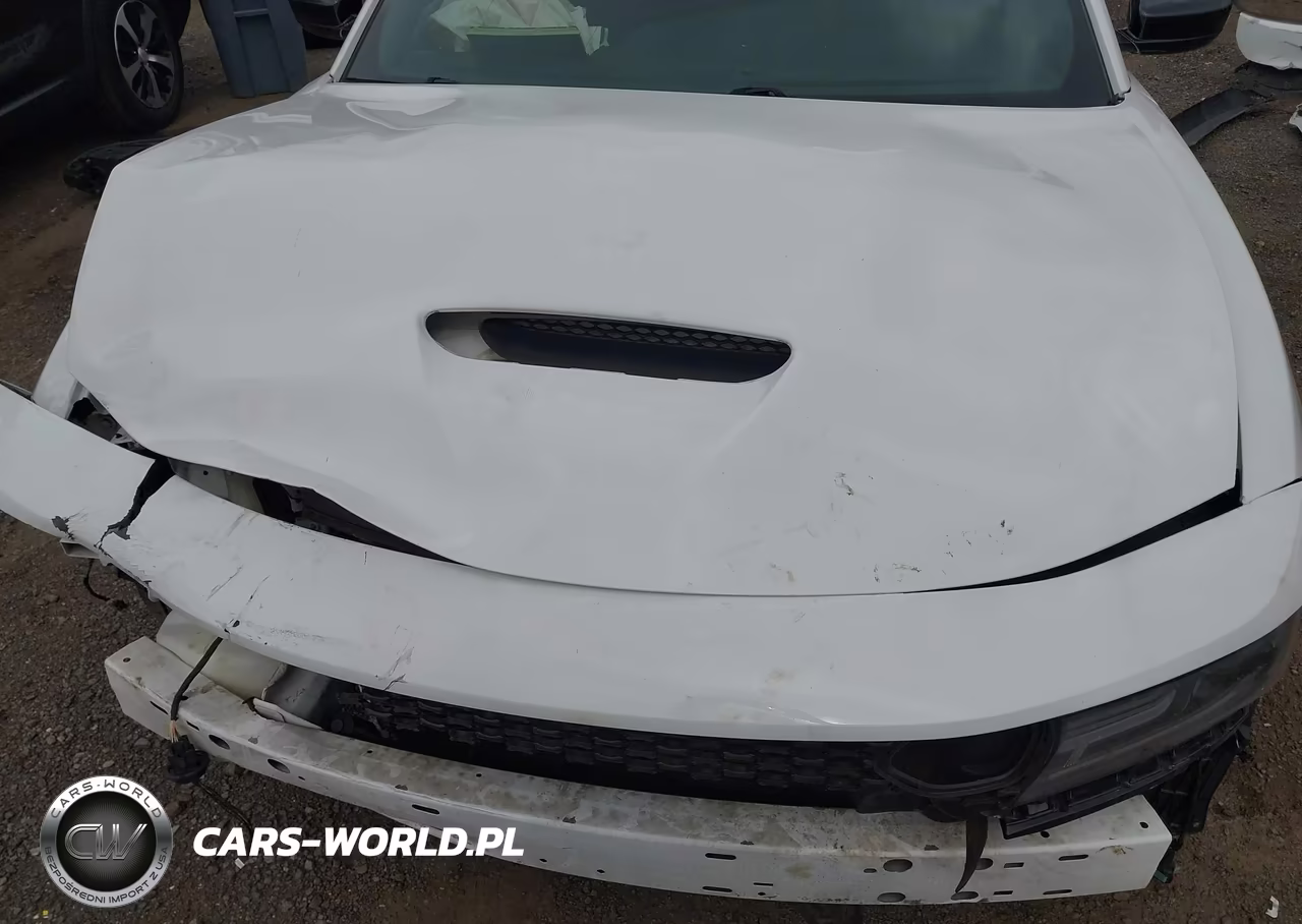 2019 Dodge Charger Scat Pack Rwd VIN:2C3CDXGJ9KH666821 - 10