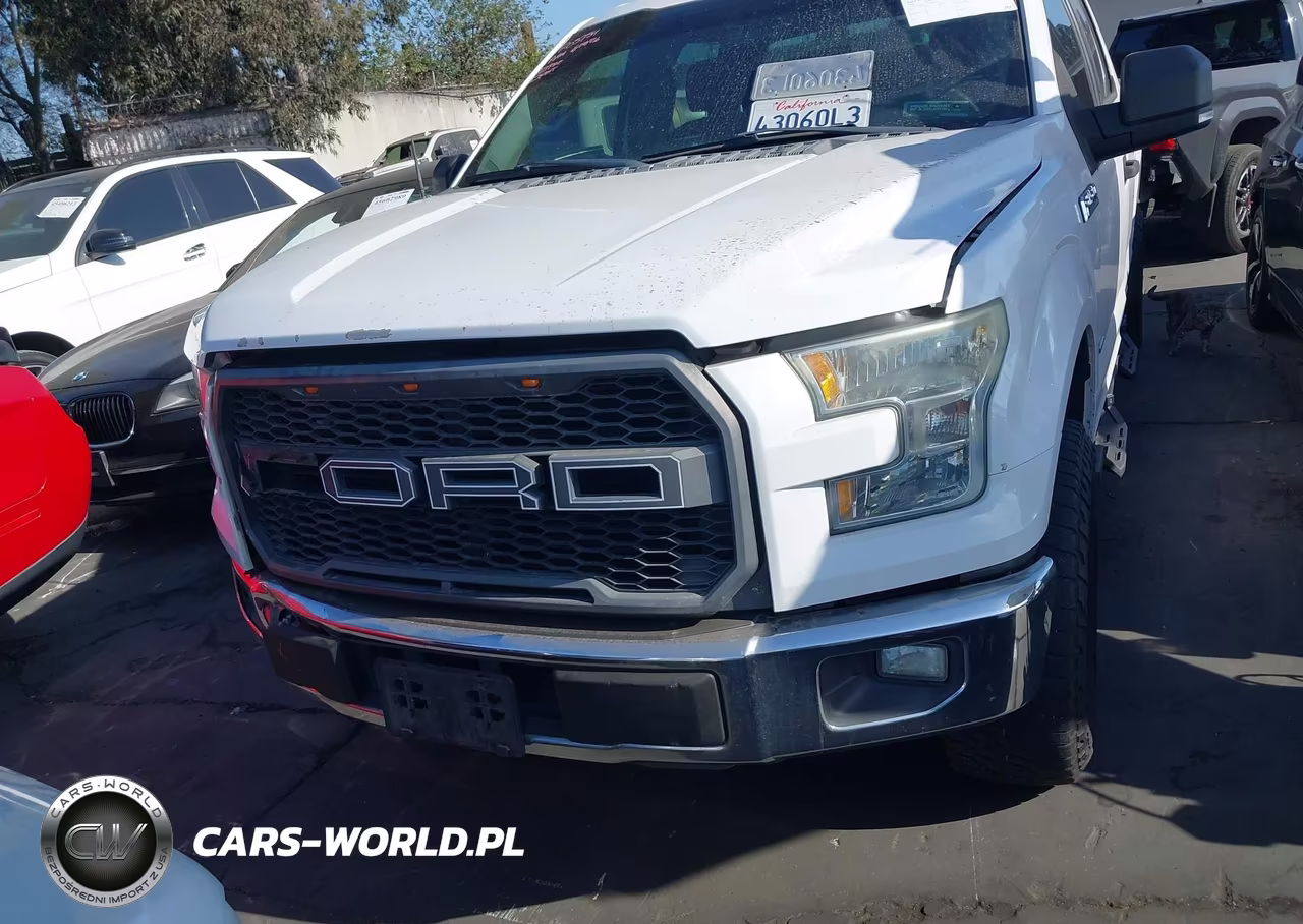 2016 Ford F-150 King Ranch-Lariat-Limited-Platinum-Xl-Xlt VIN:1FTEW1CG2GKD01919 - 13
