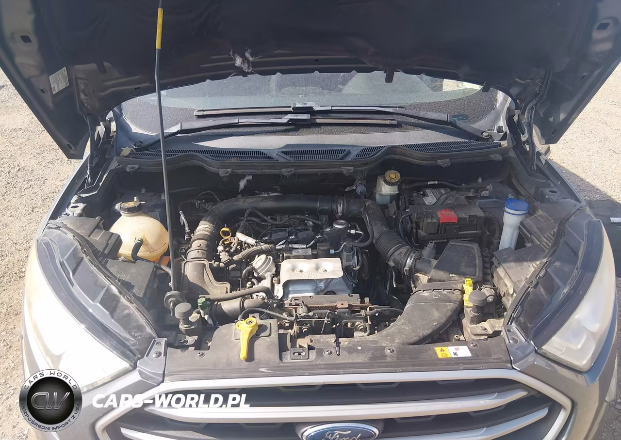 2019 Ford Ecosport Se VIN:MAJ3S2GE5KC274645 - 10