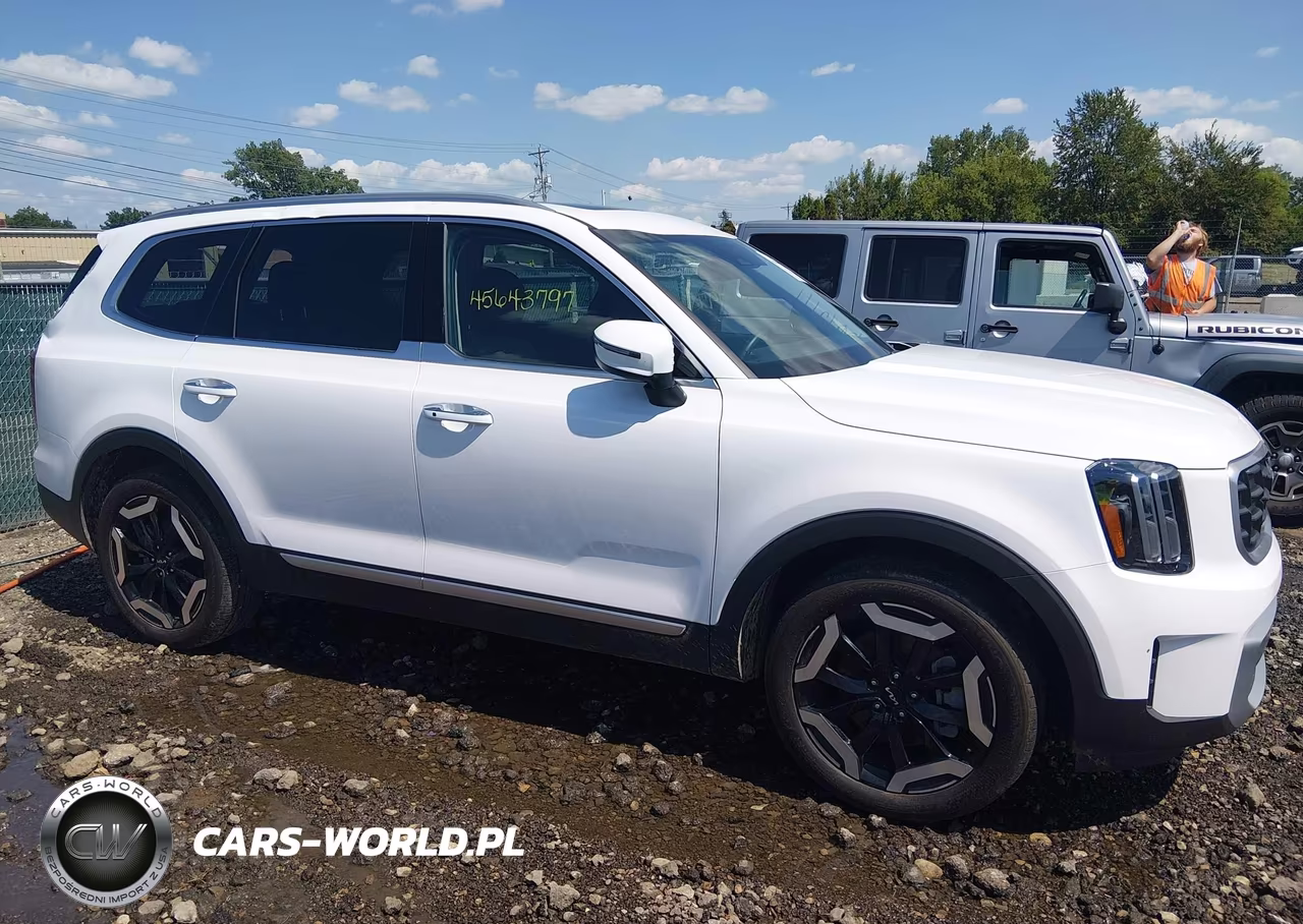 2025 Kia Telluride S VIN:5XYP64GC7SG676253 - 13