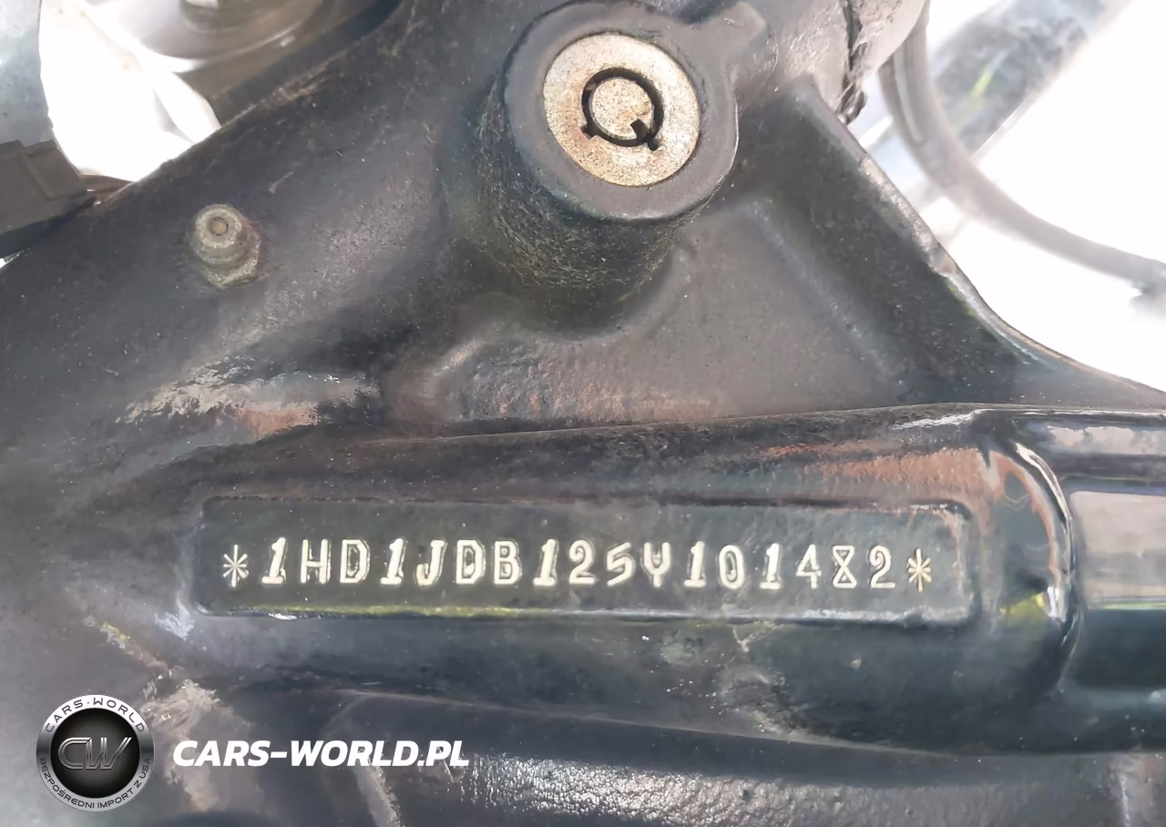 2005 Harley-Davidson Flstni VIN:1HD1JDB125Y101482 - 10