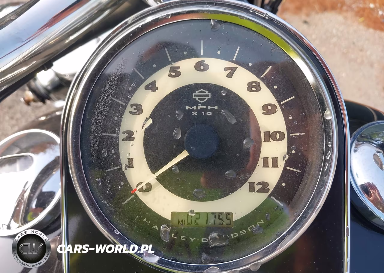 2005 Harley-Davidson Flstni VIN:1HD1JDB125Y101482 - 7