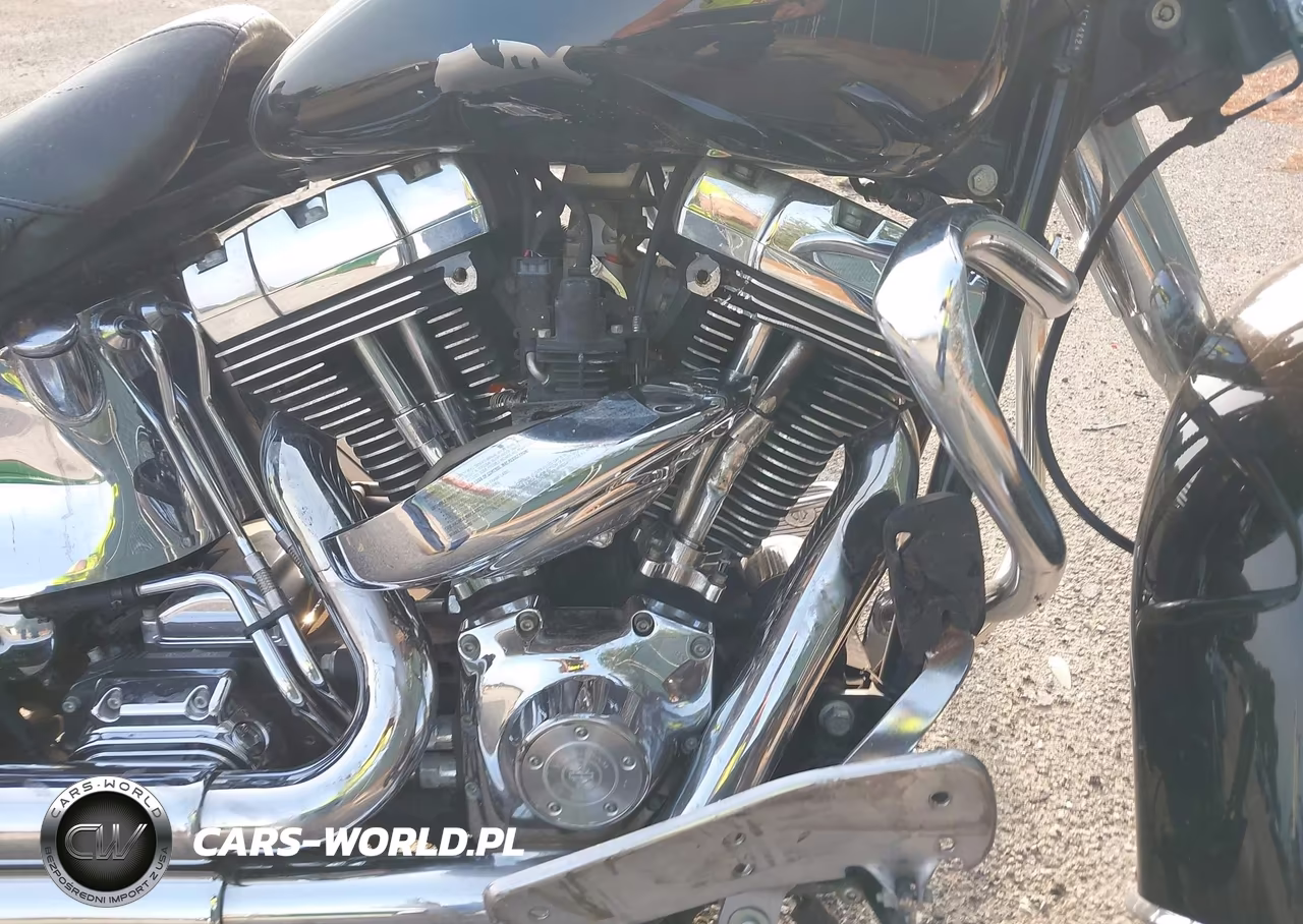 2005 Harley-Davidson Flstni VIN:1HD1JDB125Y101482 - 8