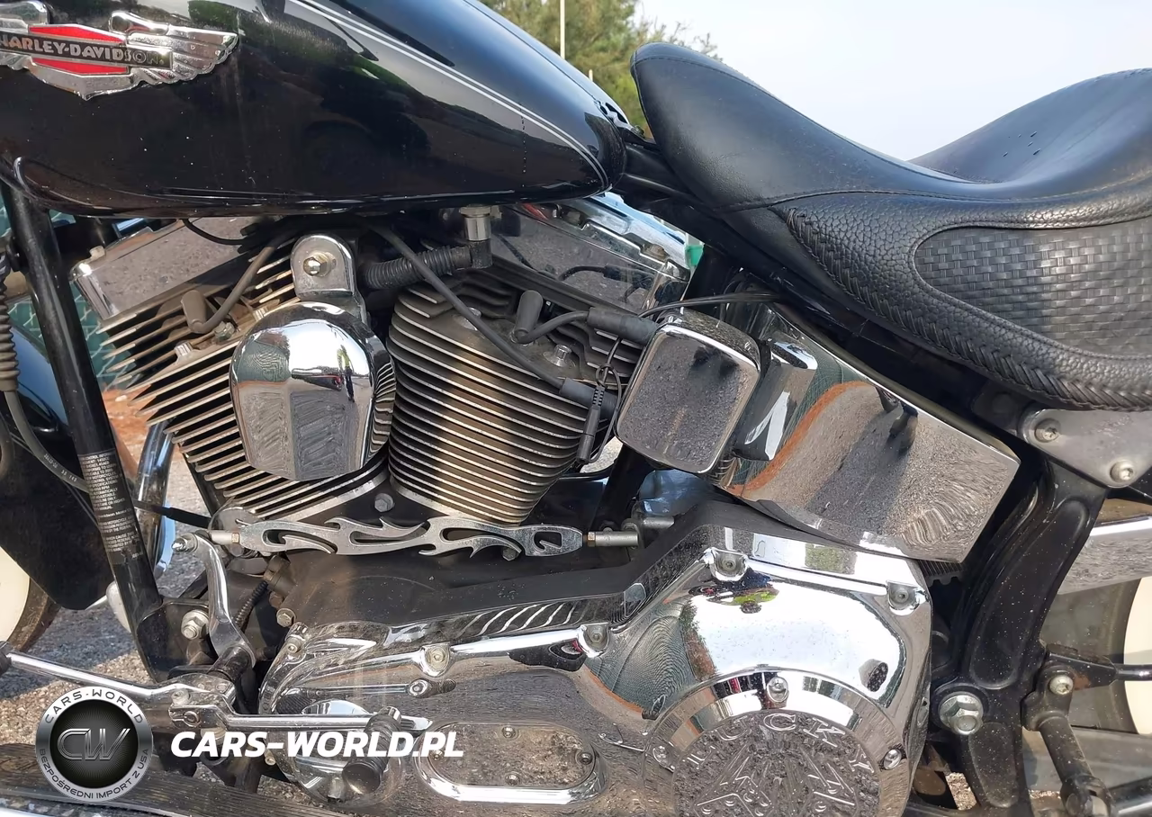 2005 Harley-Davidson Flstni VIN:1HD1JDB125Y101482 - 9