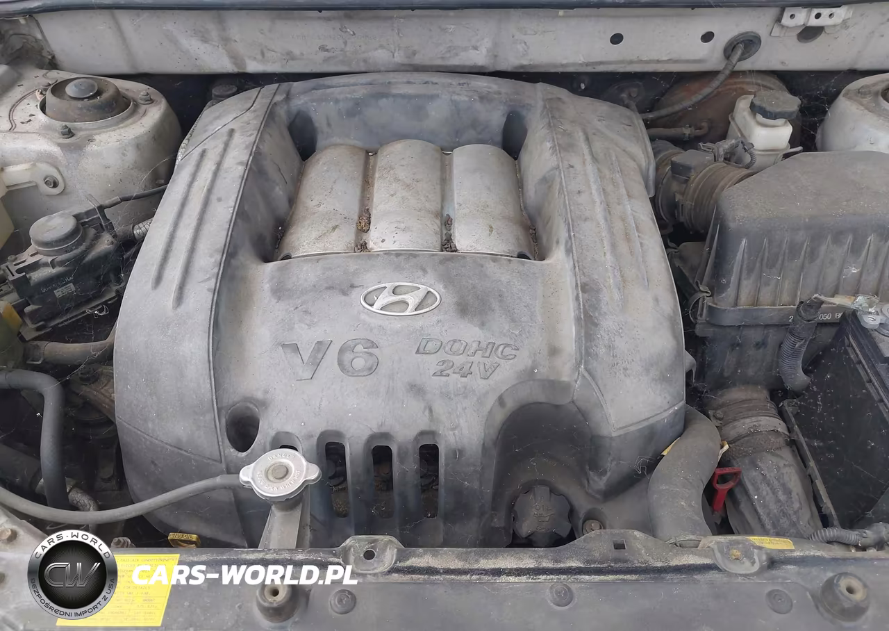 2002 Hyundai Santa Fe Gls-Lx VIN:KM8SC13D22U276580 - 10