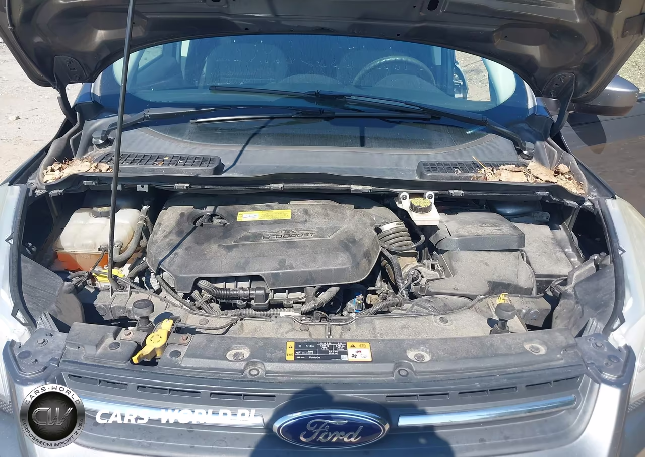 2014 Ford Escape Se VIN:1FMCU0GX7EUB69772 - 10