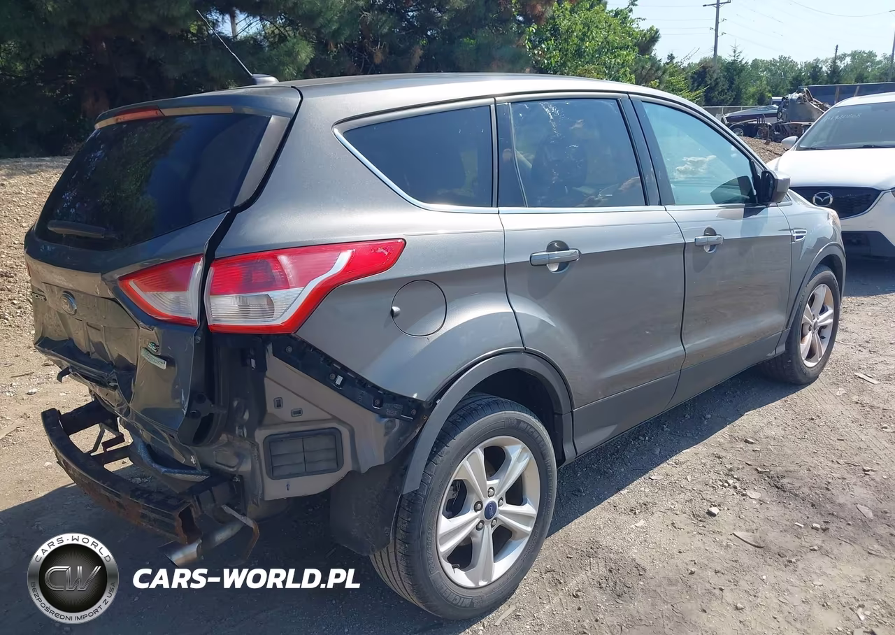 2014 Ford Escape Se VIN:1FMCU0GX7EUB69772 - 4