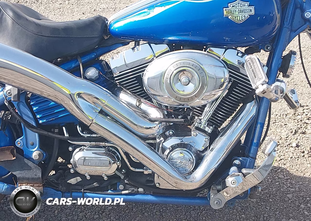 2008 Harley-Davidson Fxcwc VIN:1HD1JK5118Y055387 - 8