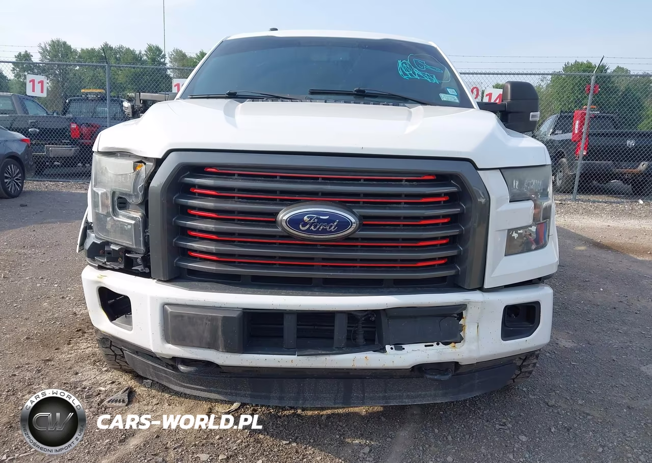 2016 Ford F-150 King Ranch-Lariat-Limited-Platinum-Xl-Xlt VIN:1FTFW1EG8GFC76051 - 12