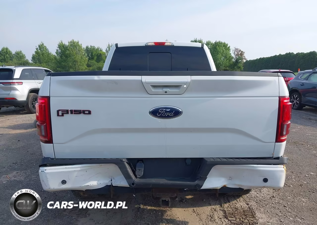 2016 Ford F-150 King Ranch-Lariat-Limited-Platinum-Xl-Xlt VIN:1FTFW1EG8GFC76051 - 16