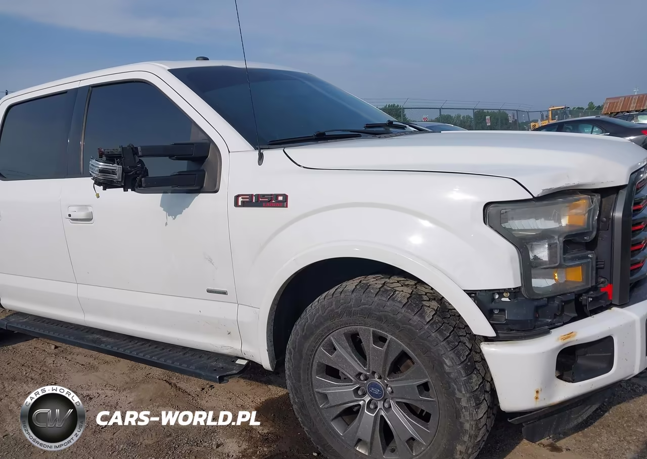 2016 Ford F-150 King Ranch-Lariat-Limited-Platinum-Xl-Xlt VIN:1FTFW1EG8GFC76051 - 17