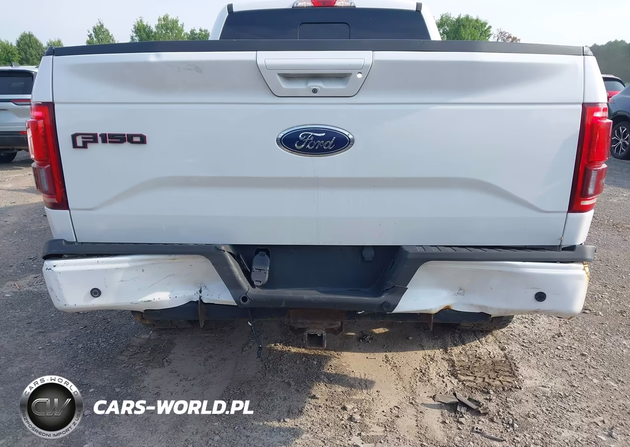 2016 Ford F-150 King Ranch-Lariat-Limited-Platinum-Xl-Xlt VIN:1FTFW1EG8GFC76051 - 18