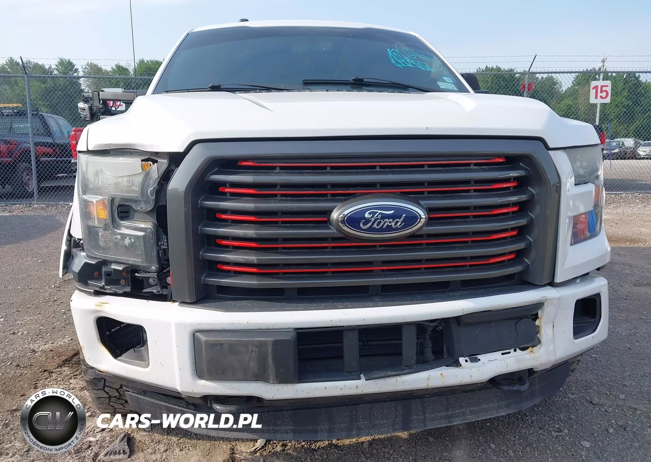 2016 Ford F-150 King Ranch-Lariat-Limited-Platinum-Xl-Xlt VIN:1FTFW1EG8GFC76051 - 6