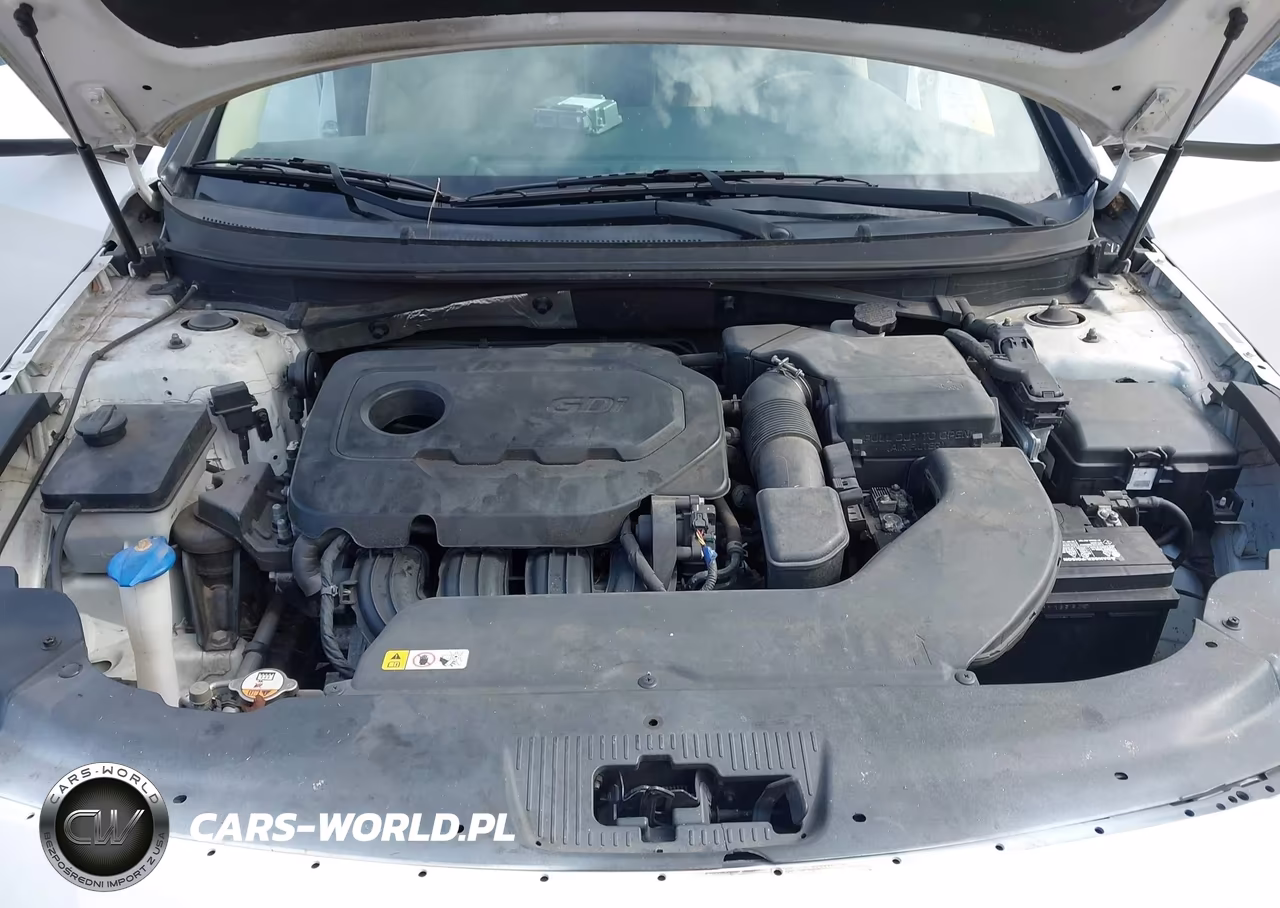 2017 Hyundai Sonata Se VIN:5NPE24AF8HH481348 - 10