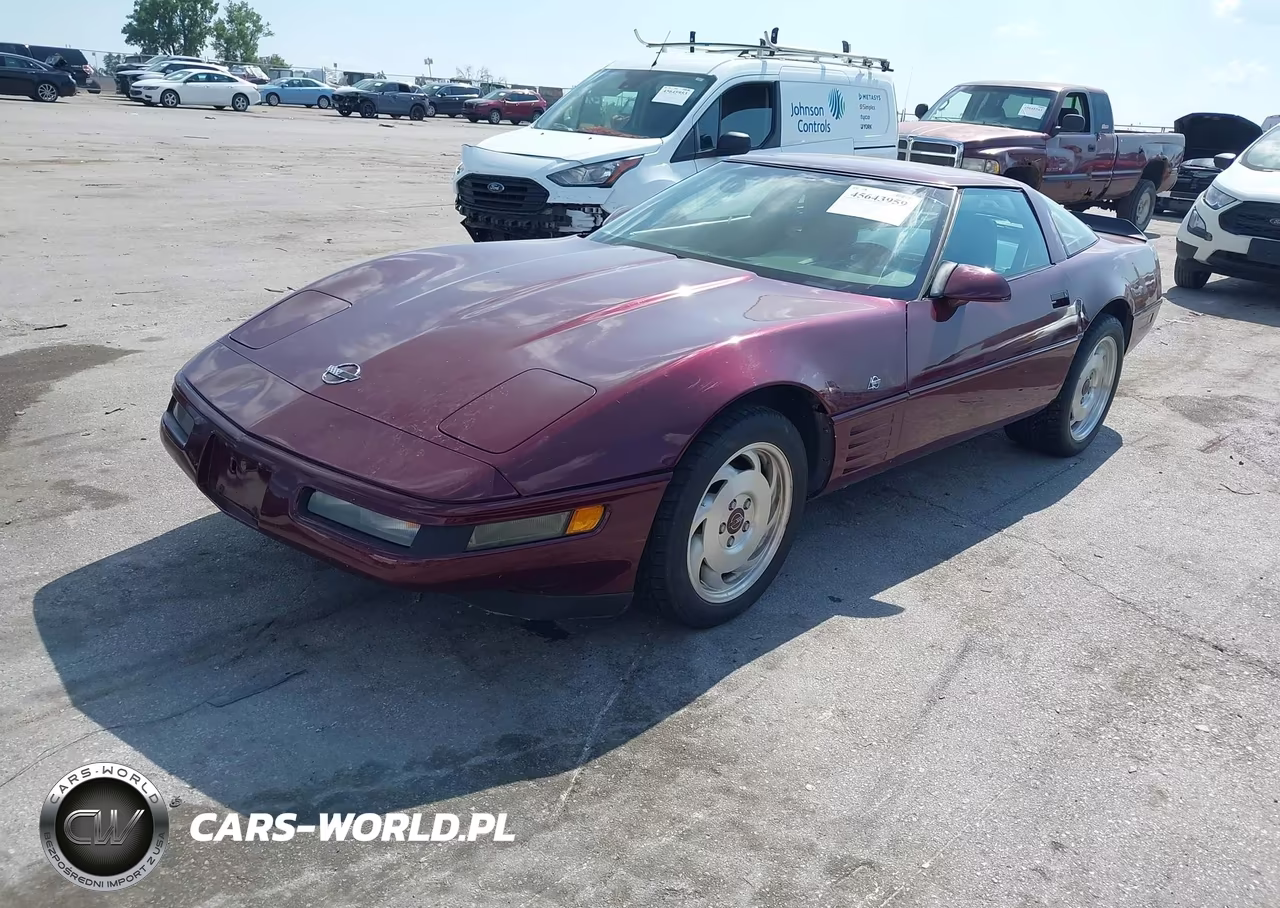 1993 Chevrolet Corvette VIN:1G1YY23P5P5103291 - 2