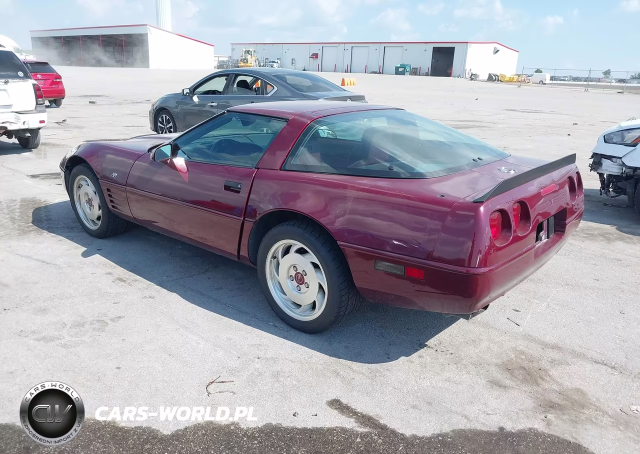 1993 Chevrolet Corvette VIN:1G1YY23P5P5103291 - 3