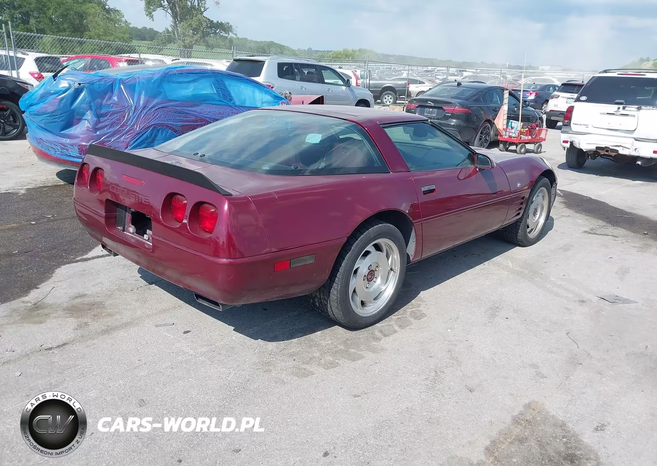 1993 Chevrolet Corvette VIN:1G1YY23P5P5103291 - 4