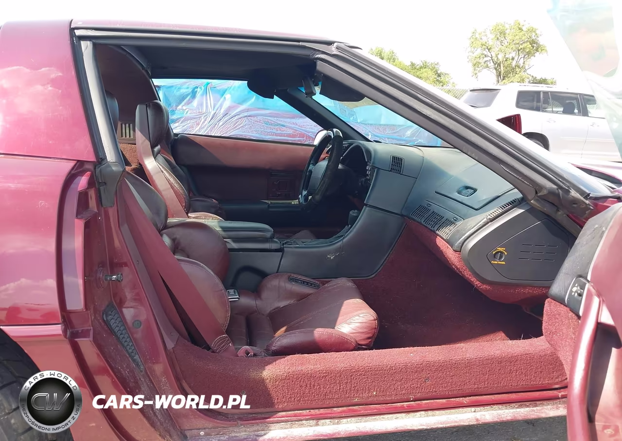 1993 Chevrolet Corvette VIN:1G1YY23P5P5103291 - 5